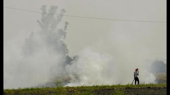 The spike in farm fires in the past one week has worsened the air quality in Punjab. Analysis of the Central Pollution Control Board (CPCB) data reveals that the air quality this year is worse than the corresponding period last year.