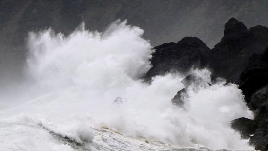 World Tsunami Awareness Day 2023: Date, history, significance (Reuters)