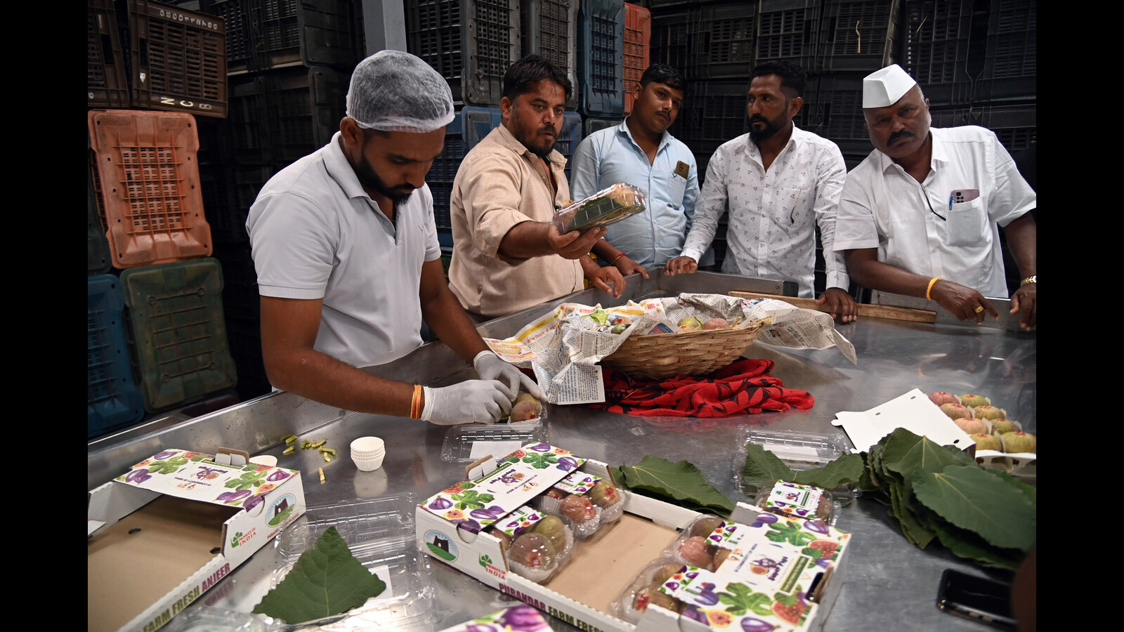 Purandar's figs & custard apples now in demand across the globe - Vimarsana News