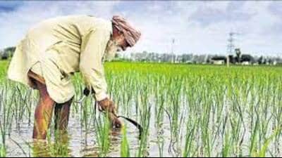 45 progressive farmers will be honoured at the state level and 33 in districts. (For Representation)