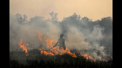 A farmer burns paddy stubble in a field, at a village near Jalandhar, Sunday. (PTI) A farmer burns paddy stubble in a field, at a village near Jalandhar, Sunday. (PTI)