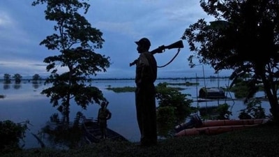 Suspected poacher shot dead by forest officials in Karnataka's Bandipur Reserve (Pic for representation) Suspected poacher shot dead by forest officials in Karnataka's Bandipur Reserve (Pic for representation)