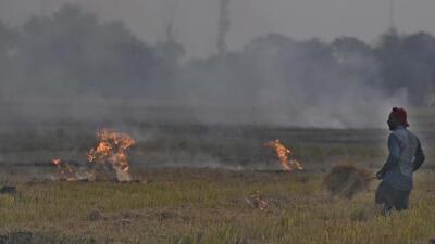 Ludhiana, India – November 05, 2023: Despite a ban on the Stubble Burning, local farmers are still indulged in the practice, ignoring the orders and effect on the environment. Farmers are setting the stubble on fire in tjeir fields at Chandigarh Road and village near Pakhowal in Ludhiana on Sunday, November 05, 2023. (Photo Gurpreet Singh/Hindustan Times) Ludhiana, India – November 05, 2023: Despite a ban on the Stubble Burning, local farmers are still indulged in the practice, ignoring the orders and effect on the environment. Farmers are setting the stubble on fire in tjeir fields at Chandigarh Road and village near Pakhowal in Ludhiana on Sunday, November 05, 2023. (Photo Gurpreet Singh/Hindustan Times)