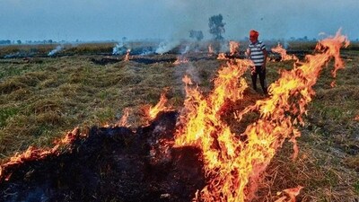 Sangrur reported the maximum farm fire incidents in Punjab at 551 on Sunday. Sangrur reported the maximum farm fire incidents in Punjab at 551 on Sunday.