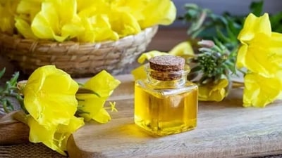 Evening primrose oil: It contains fatty acids like GAMMA Linolenic acid. Evening primrose oil is a skin tone enhancer and can help in combatting dryness issues. (Unsplash) Evening primrose oil: It contains fatty acids like GAMMA Linolenic acid. Evening primrose oil is a skin tone enhancer and can help in combatting dryness issues. (Unsplash)