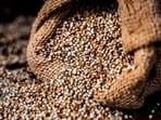 The government would do well to marry the country’s food security framework with a sustainability framework.(HT File) The government would do well to marry the country’s food security framework with a sustainability framework.(HT File)