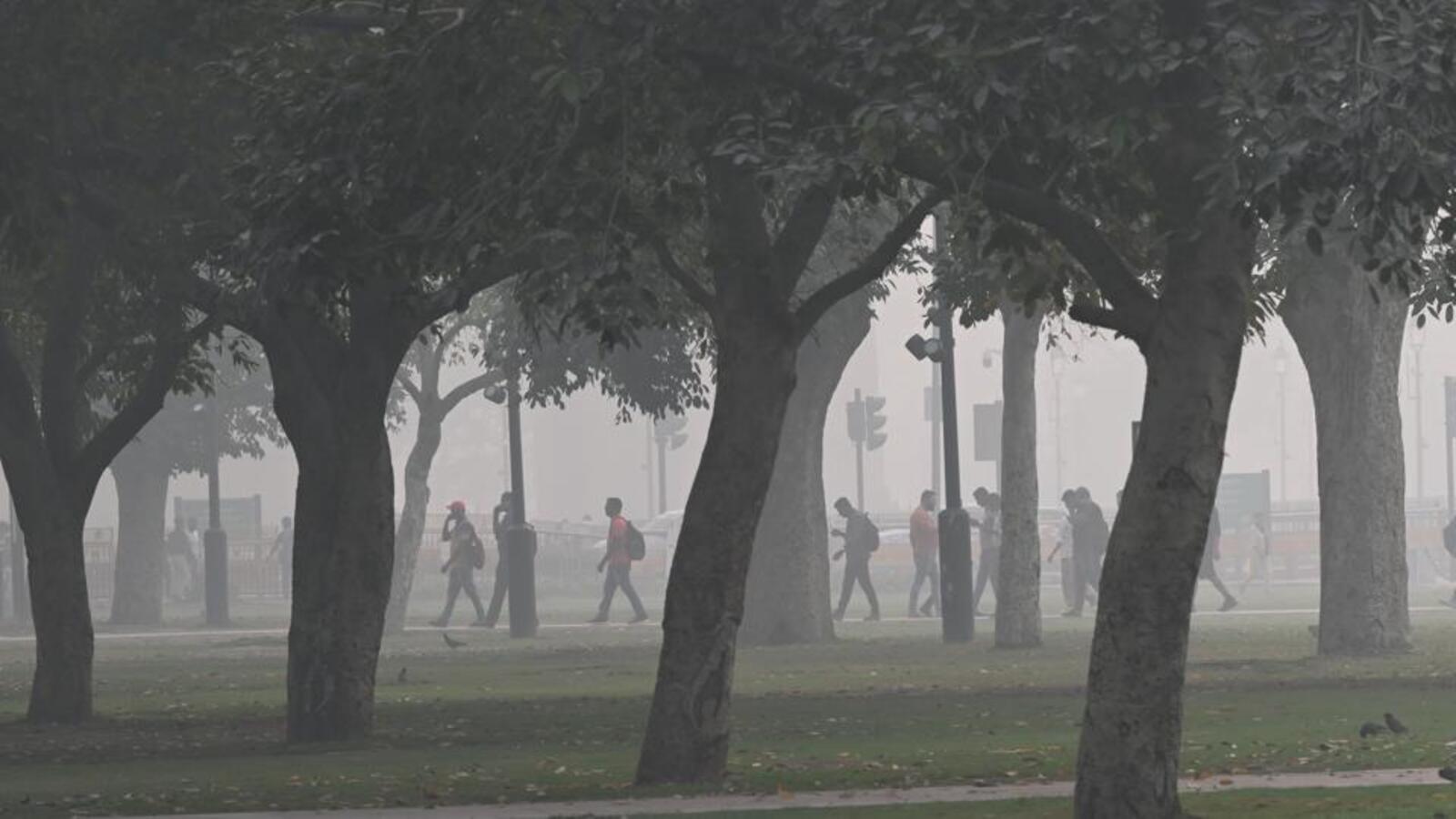 'Superficial exercise': Delhi HC rebukes forest dept for permitting tree felling | Latest News Delhi - Vimarsana News