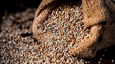 The government would do well to marry the country’s food security framework with a sustainability framework.(HT File)