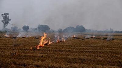 Farm fires in the state and in neighbouring Haryana are linked to the pollution crisis in the national capital. (REUTERS)