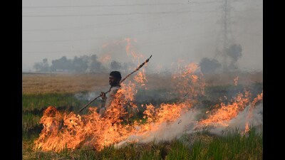 Of the 2,060 cases, Sangrur reported a maximum of 509 followed by Bathinda 210, Mansa 195, Barnala 189, Ferozepur 146, Faridkot 122, Moga 110 and 89 each in Patiala and Ludhiana. Muktsar recorded 77 cases, while Jalandhar reported 70 fire incidents. (ANI)