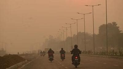 Out of 1,579 cases in Haryana, the farm fires in Fatehabad stand at 317 to date, which is nearly 21%. (HT File Photo) Out of 1,579 cases in Haryana, the farm fires in Fatehabad stand at 317 to date, which is nearly 21%. (HT File Photo)