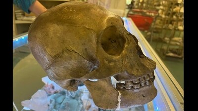 Lee County Sheriff's Office said that the North Fort Myers shopper saw the skull and recognized it as a human’s (Lee County Sheriff's Office/Facebook) Lee County Sheriff's Office said that the North Fort Myers shopper saw the skull and recognized it as a human’s (Lee County Sheriff's Office/Facebook)
