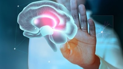Along with the many complications dengue puts us at risk of, the virus's impact on brain has come in focus (Freepik) Along with the many complications dengue puts us at risk of, the virus's impact on brain has come in focus (Freepik)