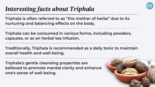 Triphala is often referred to as 'the mother of herbs' due to its nurturing and balancing effects on the body. Triphala is often referred to as 'the mother of herbs' due to its nurturing and balancing effects on the body.