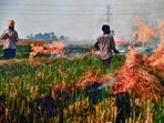 Farmers burn straw stubble after a harvest in a paddy field, on the outskirts of Jalandhar. (AFP) Farmers burn straw stubble after a harvest in a paddy field, on the outskirts of Jalandhar. (AFP)