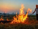 Amid the recent decline in air quality in the national capital, the AAP and the BJP have blamed stubble burning in states ruled by the other for the pollution. (PTI/File) Amid the recent decline in air quality in the national capital, the AAP and the BJP have blamed stubble burning in states ruled by the other for the pollution. (PTI/File)