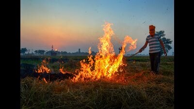 A farmer burns stubble in his field on the outskirts of Amritsar in Punjab. (PTI) A farmer burns stubble in his field on the outskirts of Amritsar in Punjab. (PTI)