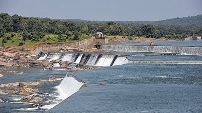 Environmentalists said the Ken-Betwa river inter-linking project will submerge 40% of the Panna Tiger Reserve. (HT file photo) Environmentalists said the Ken-Betwa river inter-linking project will submerge 40% of the Panna Tiger Reserve. (HT file photo)