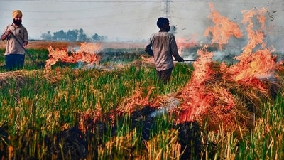 Farmers burn straw stubble after a harvest in a paddy field, on the outskirts of Jalandhar. (AFP) Farmers burn straw stubble after a harvest in a paddy field, on the outskirts of Jalandhar. (AFP)
