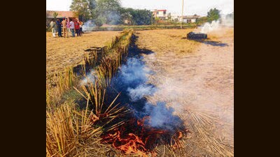 Following stern directions from the Supreme Court to take immediate steps to stop farm fires, the Punjab government has prepared a strategy focusing more on deterrence and making the local police and the civil administration responsible. (PTI File Photo) Following stern directions from the Supreme Court to take immediate steps to stop farm fires, the Punjab government has prepared a strategy focusing more on deterrence and making the local police and the civil administration responsible. (PTI File Photo)