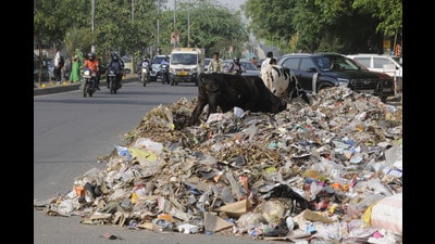 Garbage dumped on a road near Huda market. (HT Archive) Garbage dumped on a road near Huda market. (HT Archive)