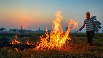 Amid the recent decline in air quality in the national capital, the AAP and the BJP have blamed stubble burning in states ruled by the other for the pollution. (PTI/File) Amid the recent decline in air quality in the national capital, the AAP and the BJP have blamed stubble burning in states ruled by the other for the pollution. (PTI/File)