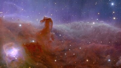 Euclid's view of the Horsehead Nebula (ESA)
