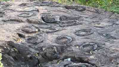 Sonbhadra fossil park (Sourced) Sonbhadra fossil park (Sourced)