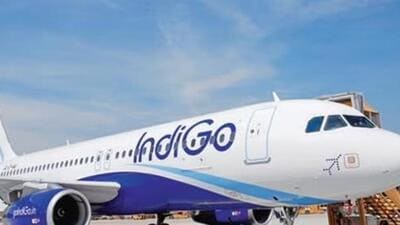 The airline, which flies to 115 destinations, posted a net profit of Rs. 188.9 crore in the second quarter of 2023-24. (File photo) The airline, which flies to 115 destinations, posted a net profit of Rs. 188.9 crore in the second quarter of 2023-24. (File photo)