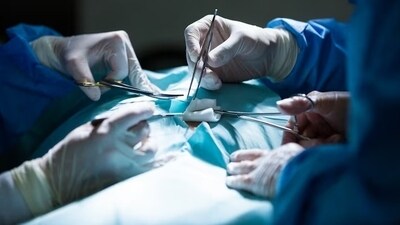According to this research, the antibacterial performance remains stable for over 30 days without any leaching from the implant surfaces. (Freepik) According to this research, the antibacterial performance remains stable for over 30 days without any leaching from the implant surfaces. (Freepik)