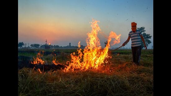 A farmer burns stubble in his field on the outskirts of Amritsar in Punjab. (PTI)