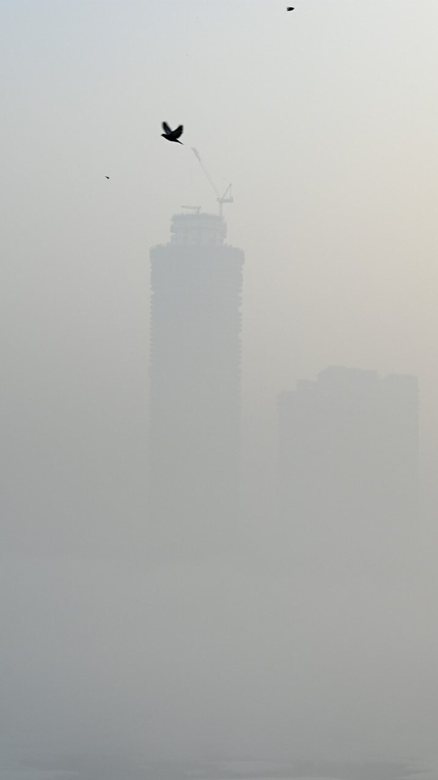Pollution_Delhi