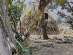 The image shows a leopard hanging from a tree. The image shows a leopard hanging from a tree.