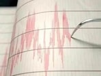 The tremor was felt moderately in the town of Saumlaki. (Representative Image)
