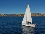  Grazie Mamma II, the yacht that the killer whale attacked. 