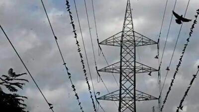 According to MSEDCL statistics, unauthorised consumption of electricity worth ₹82.42 lakh was revealed in 1,251 places in a single day in the Pune regional division. (REPRESENTATIVE PHOTO) According to MSEDCL statistics, unauthorised consumption of electricity worth ₹82.42 lakh was revealed in 1,251 places in a single day in the Pune regional division. (REPRESENTATIVE PHOTO)
