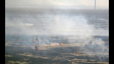 Farmers burn paddy stubble at a village in Kapurthala on Wednesday. (PTI) Farmers burn paddy stubble at a village in Kapurthala on Wednesday. (PTI)