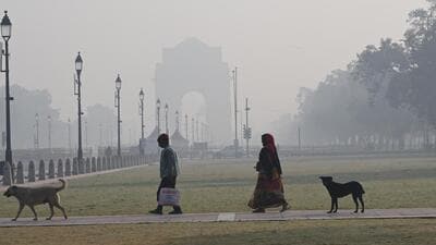 For India, the impact could be a warm winter, more fog, and summer heat waves, an expert said. (Hindustan Times) For India, the impact could be a warm winter, more fog, and summer heat waves, an expert said. (Hindustan Times)