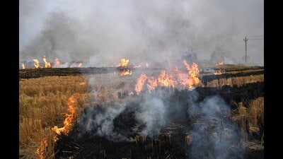 Smoke billows out as stubble burned by the farmers after harvest at Village Jodhan near Ludhiana on Wednesday. (Gurpreet Singh/HT) Smoke billows out as stubble burned by the farmers after harvest at Village Jodhan near Ludhiana on Wednesday. (Gurpreet Singh/HT)