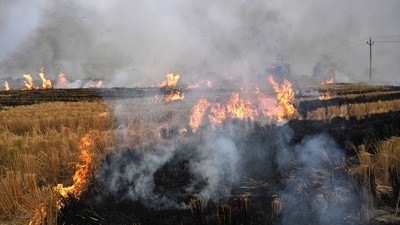 Smoke billows out as stubble burned by the farmers after harvest at Village Jodhan near Ludhiana on Wednesday. (Gurpreet Singh/HT) Smoke billows out as stubble burned by the farmers after harvest at Village Jodhan near Ludhiana on Wednesday. (Gurpreet Singh/HT)