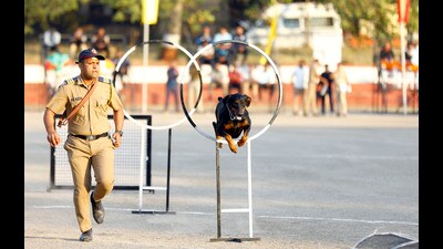 The space is falling short of the need of the force and the structures are in need of repairs, forcing the police force to send the dogs to private training centers. (Rahul Raut/HT Photo) The space is falling short of the need of the force and the structures are in need of repairs, forcing the police force to send the dogs to private training centers. (Rahul Raut/HT Photo)
