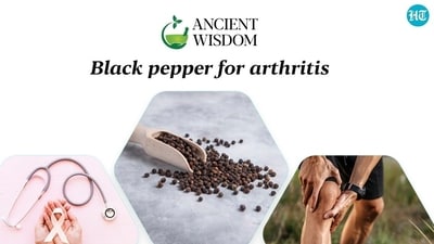 Black pepper has a rich history dating back to ancient times. It was highly prized in the Roman Empire and was even referred to as 'black gold' due to its significant value Black pepper has a rich history dating back to ancient times. It was highly prized in the Roman Empire and was even referred to as 'black gold' due to its significant value