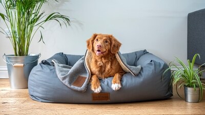 Regularly cleaning and replacing your pets' bedding, along with thorough vacuuming and dusting of your home, can reduce the presence of allergens, dust, and other irritants in your living space. Additionally, consider installing air purifiers or utilizing portable air cleaners to enhance indoor air quality. (Unsplash) Regularly cleaning and replacing your pets' bedding, along with thorough vacuuming and dusting of your home, can reduce the presence of allergens, dust, and other irritants in your living space. Additionally, consider installing air purifiers or utilizing portable air cleaners to enhance indoor air quality. (Unsplash)