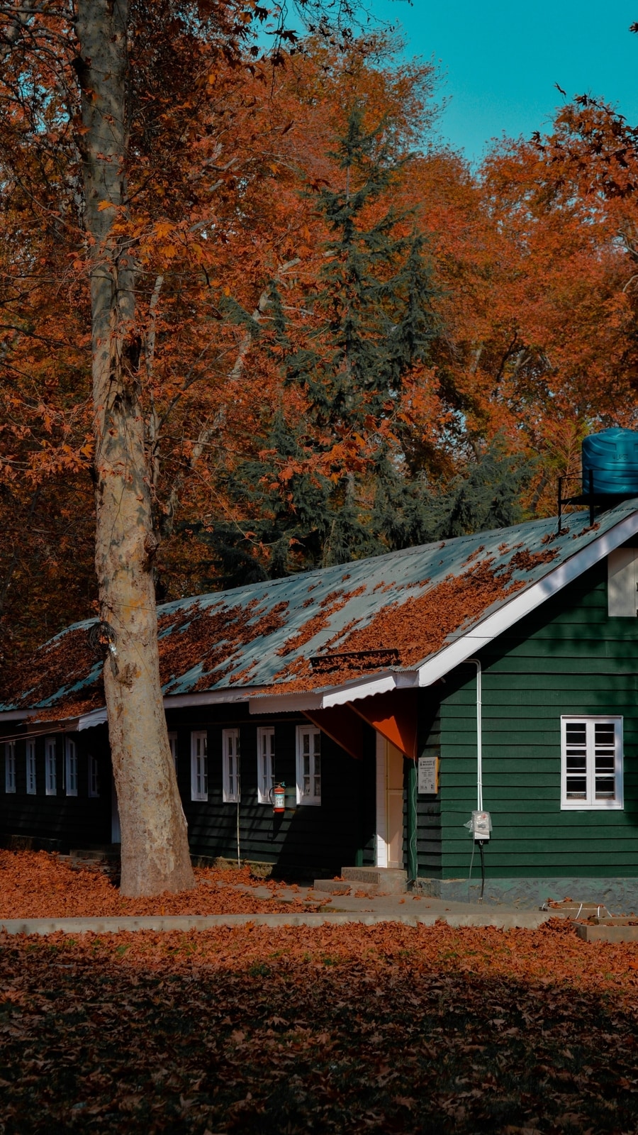 Kashmir_autumn