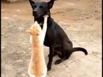Cat giving massage to a dog using its paws. 