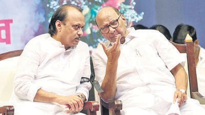 Calling them serious offenses, the Sharad Pawar-led party also requested the Election Commission to take penal and criminal action for filing false evidence and affidavits (HT Photo) Calling them serious offenses, the Sharad Pawar-led party also requested the Election Commission to take penal and criminal action for filing false evidence and affidavits (HT Photo)