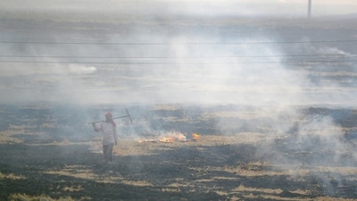 Farmers burn paddy stubble at a village in Kapurthala on Wednesday. (PTI) Farmers burn paddy stubble at a village in Kapurthala on Wednesday. (PTI)