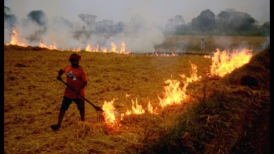 Patiala, Nov 09 (ANI): A farmer burns paddy stubble in a field at a village near Patiala on Thursday. (ANI Photo) (Harmeet Sodhi) Patiala, Nov 09 (ANI): A farmer burns paddy stubble in a field at a village near Patiala on Thursday. (ANI Photo) (Harmeet Sodhi)