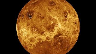 Data from NASA's Magellan spacecraft and Pioneer Venus Orbiter is used in an undated composite image of the planet Venus.  NASA/JPL-Caltech/Handout via REUTERS.