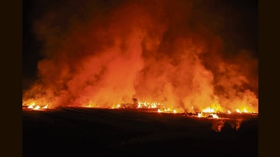 Smoke and flames rise as paddy stubble set on fire near Patiala on Thursday. (PTI)